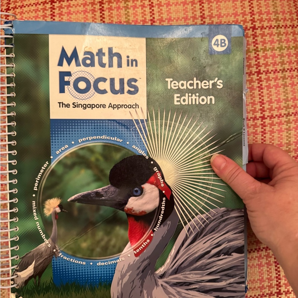 Math in Focus Teachers Edition